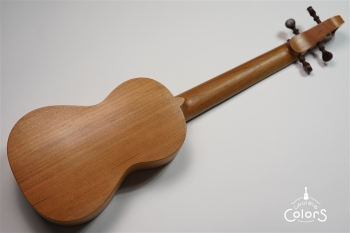 ukulele concert 14 FA.S